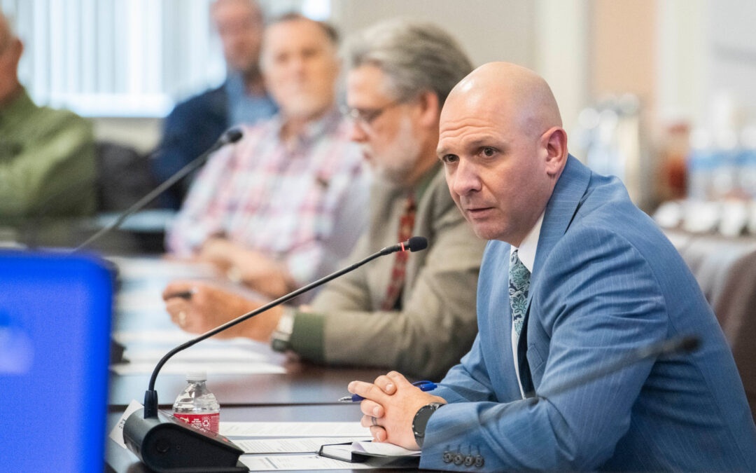 When Local Priorities Become State Investments