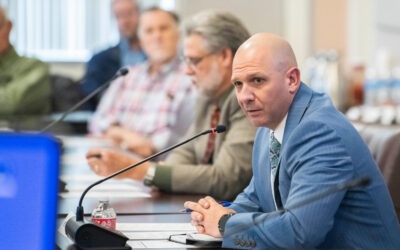 When Local Priorities Become State Investments
